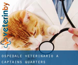 Ospedale Veterinario a Captains Quarters