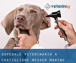 Ospedale Veterinario a Castiglione Messer Marino