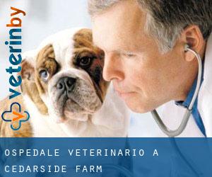 Ospedale Veterinario a Cedarside Farm