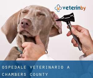 Ospedale Veterinario a Chambers County