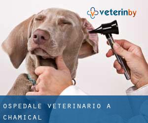 Ospedale Veterinario a Chamical