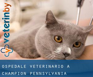 Ospedale Veterinario a Champion (Pennsylvania)