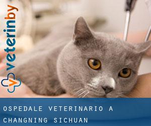 Ospedale Veterinario a Changning (Sichuan)