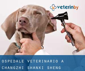 Ospedale Veterinario a Changzhi (Shanxi Sheng) Ospedale Veterinario a Changzhi (Shanxi Sheng)