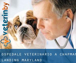 Ospedale Veterinario a Chapman Landing (Maryland)
