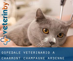 Ospedale Veterinario a Charmont (Champagne-Ardenne)