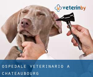 Ospedale Veterinario a Châteaubourg