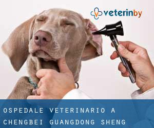Ospedale Veterinario a Chengbei (Guangdong Sheng)