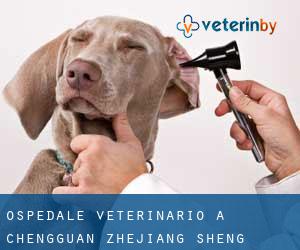 Ospedale Veterinario a Chengguan (Zhejiang Sheng)