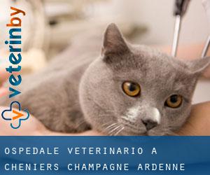 Ospedale Veterinario a Cheniers (Champagne-Ardenne)