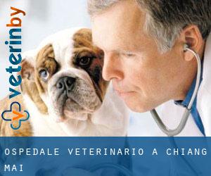 Ospedale Veterinario a Chiang Mai Ospedale Veterinario a Chiang Mai