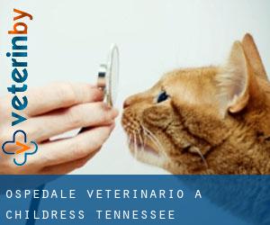 Ospedale Veterinario a Childress (Tennessee)