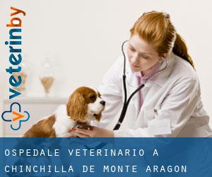 Ospedale Veterinario a Chinchilla de Monte Aragón