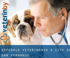 Ospedale Veterinario a City of San Fernando