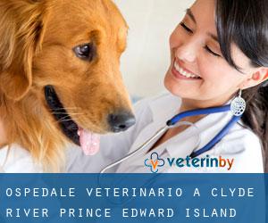 Ospedale Veterinario a Clyde River (Prince Edward Island)