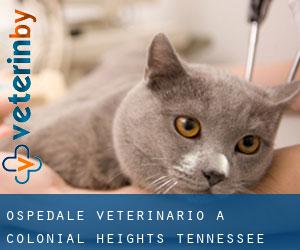 Ospedale Veterinario a Colonial Heights (Tennessee)