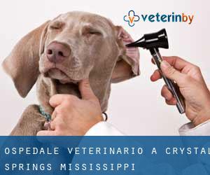 Ospedale Veterinario a Crystal Springs (Mississippi)