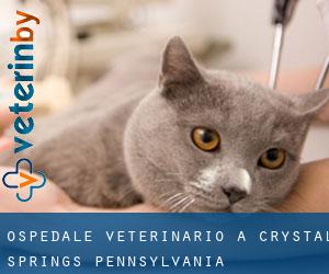 Ospedale Veterinario a Crystal Springs (Pennsylvania)