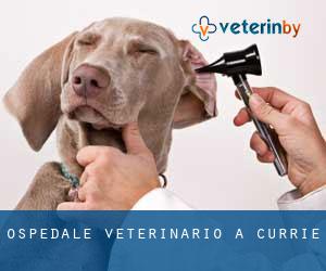 Ospedale Veterinario a Currie