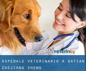 Ospedale Veterinario a Datian (Zhejiang Sheng)