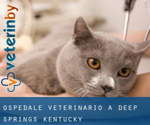 Ospedale Veterinario a Deep Springs (Kentucky)