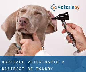 Ospedale Veterinario a District de Boudry