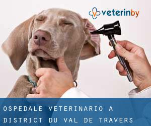 Ospedale Veterinario a District du Val-de-Travers