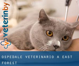 Ospedale Veterinario a East Forest
