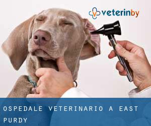 Ospedale Veterinario a East Purdy