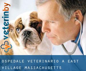Ospedale Veterinario a East Village (Massachusetts)