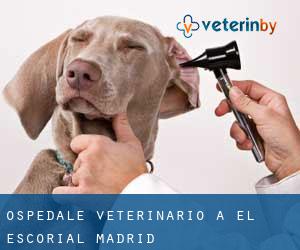 Ospedale Veterinario a El Escorial (Madrid)