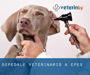 Ospedale Veterinario a Epes