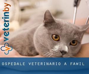 Ospedale Veterinario a Fawil