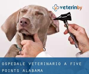 Ospedale Veterinario a Five Points (Alabama)