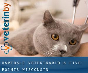 Ospedale Veterinario a Five Points (Wisconsin)