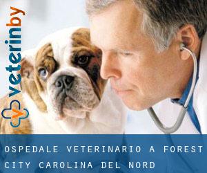 Ospedale Veterinario a Forest City (Carolina del Nord)