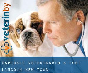 Ospedale Veterinario a Fort Lincoln New Town