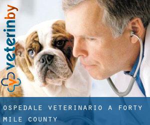 Ospedale Veterinario a Forty Mile County