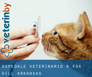 Ospedale Veterinario a Fox Hill (Arkansas)