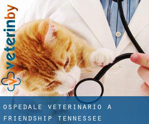 Ospedale Veterinario a Friendship (Tennessee)