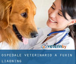 Ospedale Veterinario a Fuxin (Liaoning) Ospedale Veterinario a Fuxin (Liaoning)