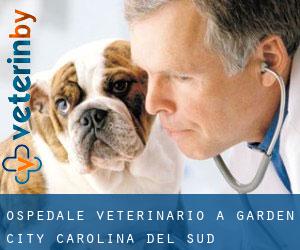 Ospedale Veterinario a Garden City (Carolina del Sud)