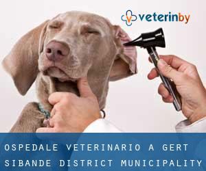 Ospedale Veterinario a Gert Sibande District Municipality