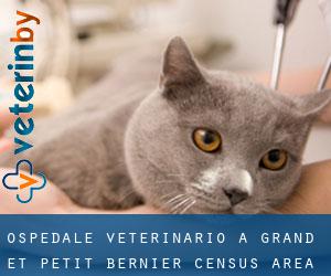 Ospedale Veterinario a Grand-et-Petit-Bernier (census area)