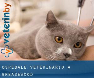 Ospedale Veterinario a Greasewood