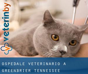 Ospedale Veterinario a Greenbrier (Tennessee)