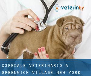 Ospedale Veterinario a Greenwich Village (New York)
