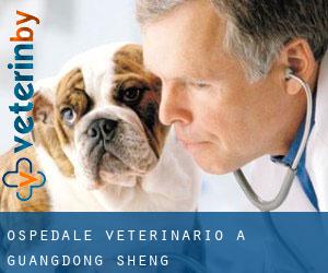 Ospedale Veterinario a Guangdong Sheng