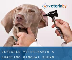 Ospedale Veterinario a Guanting (Qinghai Sheng)