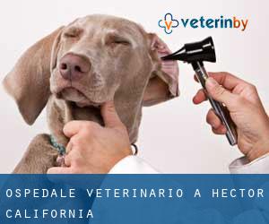 Ospedale Veterinario a Hector (California)